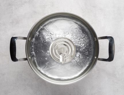 The boil alert disc is a small metal disc that will make an audible noise to indicate the water is boiling. Even though you can't hear it the water is currently boiling.
